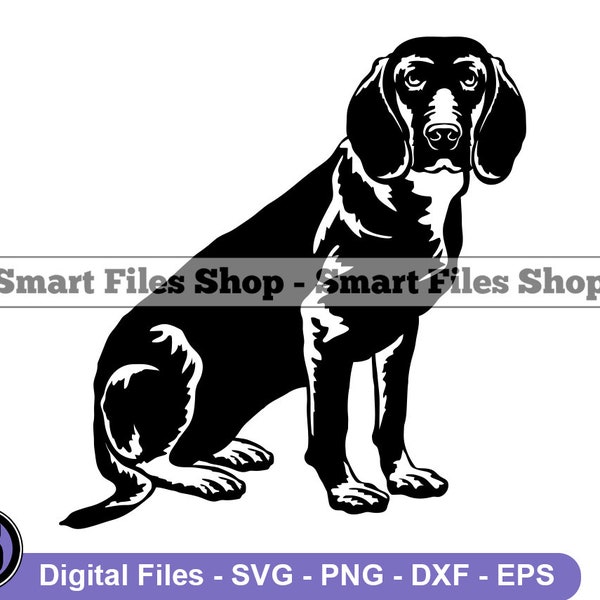 Sitting Bavarian Mountain Scent Hound SVG, Bavarian Mountain Scent Hound Svg, Dog Svg, Dxf, Png, Clipart, Files, Eps