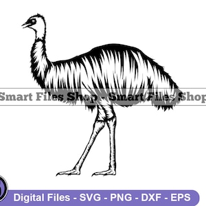 Emu SVG, Emu Design Svg, Emu Dxf, Emu Png, Emu Clipart, Emu Files, Eps
