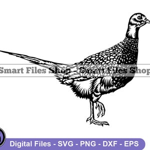 Pheasant #4 SVG, Pheasant SVG, Pheasant Dxf, Pheasant Png, Pheasant Clipart, Pheasant Files, Eps