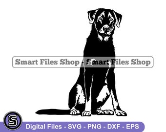 Sitting Beauceron SVG, Beauceron Svg, Dog Svg, Beauceron Dxf, Beauceron Png, Beauceron Clipart, Beauceron Files, Beauceron Eps