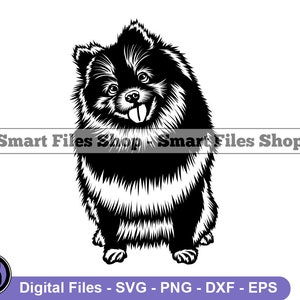 Sitting Pomeranian SVG, Pomeranian Svg, Dog Svg, Pomeranian Dxf, Pomeranian Png, Pomeranian Clipart, Pomeranian Files, Pomeranian Eps