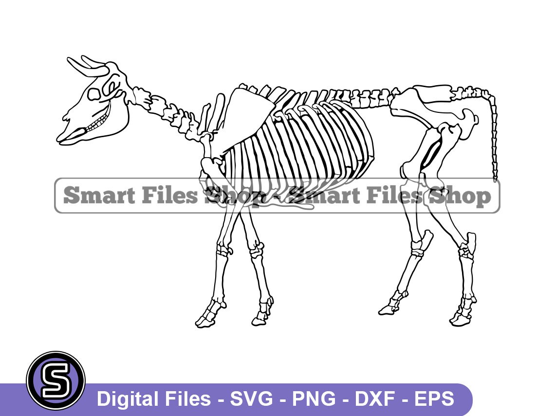 Cow Skeleton Line Drawing Cow Skeleton 3 SVG Cow Svg Cattle Svg Farm Animals Svg - Etsy
