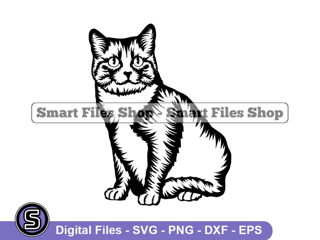 Manx Cat #2 SVG, Manx Cat Svg, Cat Svg, Pet Svg, Manx Cat Dxf, Cat Png ...