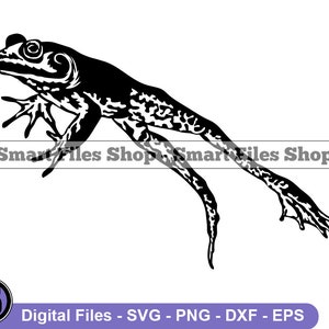 May include: Black and white silhouette of a frog with its legs outstretched, as if it is jumping or leaping. The frog has a detailed texture on its skin.
