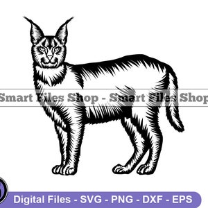 Big Floppa - Caracal, Big Cat Meme - Funny, Modern, Subversive Cross Stitch  Pattern - Digital PDF