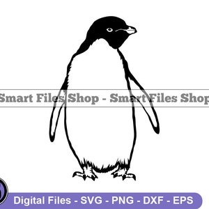 Adelie Penguin SVG, Penguin SVG, Animals Svg, Penguin Dxf, Penguin Png, Penguin Clipart, Penguin Files, Penguin Eps