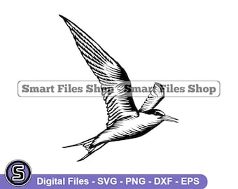 Least Tern Svg, Bird Svg, Bird Design Svg, Bird Dxf, Bird Png, Bird Clipart, Bird Files, Eps