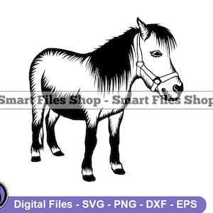 Pony SVG, Pony Design Svg, Baby Horse Design Svg, Pony Dxf, Pony Png, Pony Clipart, Pony Files, Eps