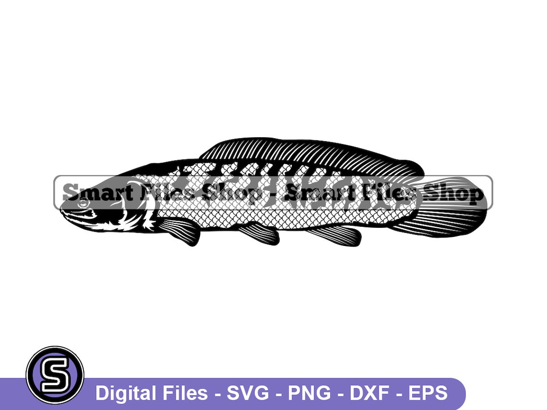 Bowfin Fish Svg, Fish Svg, Fishing Svg, Fishing Dxf, Fishing Png