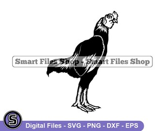 Cockfighting Etsy Ireland
