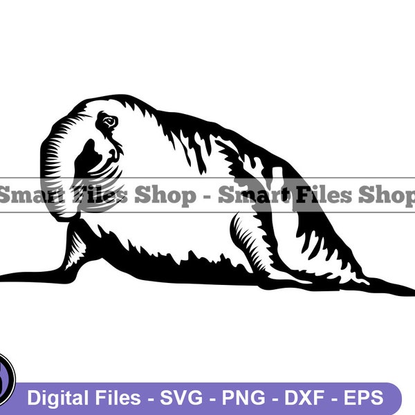 Elephant Seal SVG, Sea Lion SVG, Animals Svg, Elephant Seal Dxf, Elephant Seal Png, Elephant Seal Clipart, Elephant Seal Files, Eps