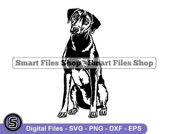 Sitting Rhodesian Ridgeback SVG, Rhodesian Ridgeback Svg, Dog Svg, Rhodesian Ridgeback Dxf, Rhodesian Ridgeback Png, Clipart, Files, Eps