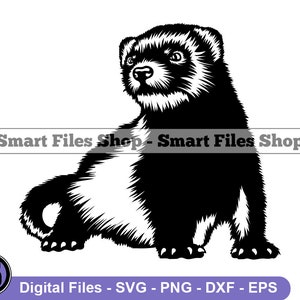 Baby Ferret #2 Svg, Ferret Svg, Ferret Dxf, Ferret Png, Ferret Clipart, Ferret Files, Ferret Eps