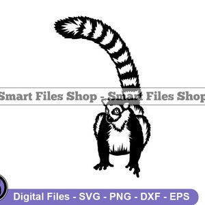 Ringstjärtad lemur SVG, Lemur SVG, Djur Svg, Ringstjärtad lemur Dxf, Ringstjärtad lemur Png, Ringstjärtad lemur Clipart, Filer, Eps