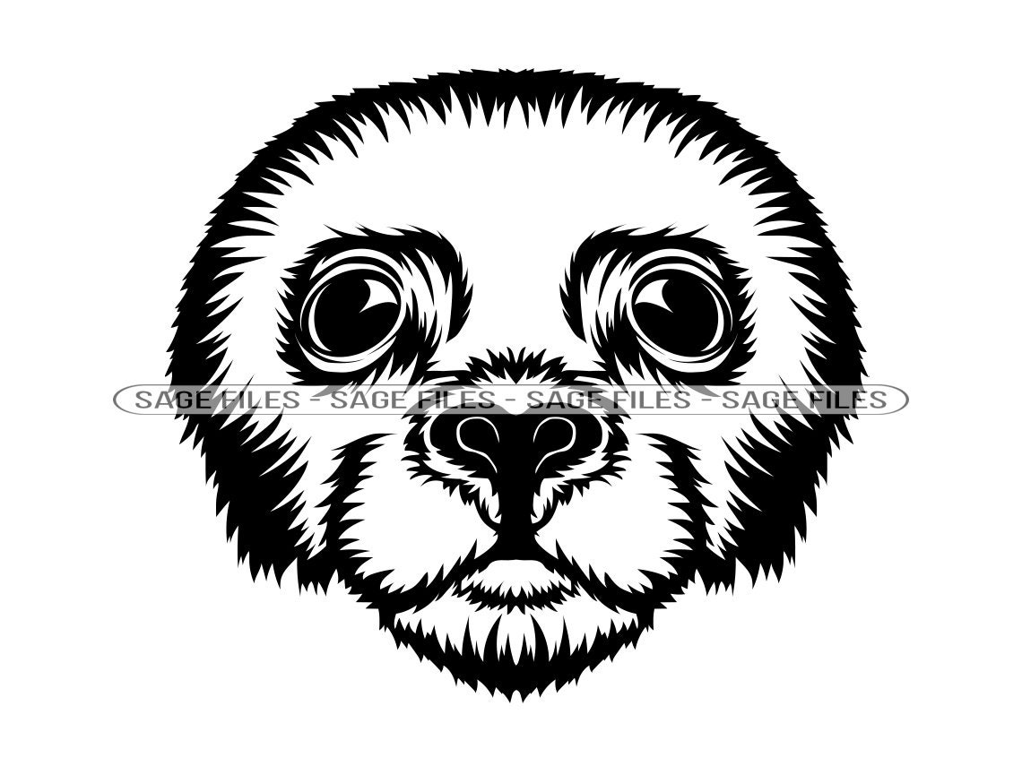 Seal Mascot SVG Seal Face SVG Seal Head Svg Seal Svg Sea Etsy