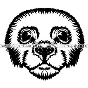 Seal Mascot SVG, Seal Face SVG, Seal Head Svg, Seal Svg, Sea Lion Svg, Seal Dxf, Seal Png, Seal Clipart, Seal Files, Eps