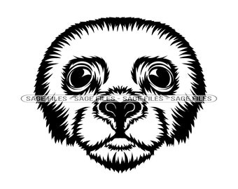 Seal Mascot SVG, Seal Face SVG, Seal Head Svg, Seal Svg, Sea Lion Svg, Seal Dxf, Seal Png, Seal Clipart, Seal Files, Eps