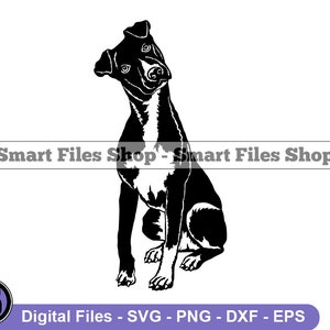 Sitting Mountain Cur SVG, Mountain Cur Svg, Dog Svg, Mountain Cur Dxf, Mountain Cur Png, Mountain Cur Clipart, Mountain Cur Files, Eps
