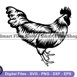 Può includere: Illustrazione in bianco e nero di un gallo con una cresta e bargigli grandi. Il gallo è rivolto a destra e ha le ali spiegate.