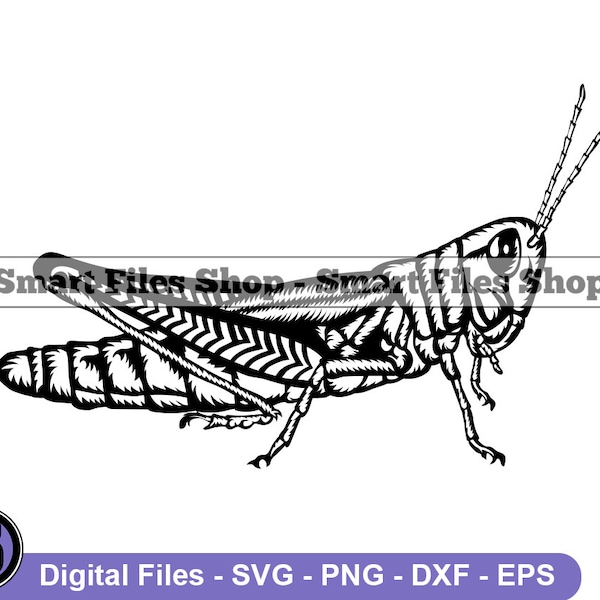 Grasshopper #3 Svg, Grasshopper Svg, Locust Svg, Cricket Svg, Grasshopper Dxf, Grasshopper Png, Grasshopper Clipart, Grasshopper Files, Eps