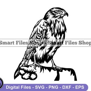 May include: Black and white silhouette of a hawk perched on a rock. The hawk has a sharp beak and talons. The hawk is facing to the right.