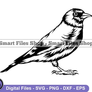 Goldfinch Svg, Bird Svg, Goldfinch Dxf, Goldfinch Png, Goldfinch Clipart, Goldfinch Files, Eps
