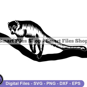 Coati Svg, Animals Svg, Jungle Creatures Svg, Coati Dxf, Coati Png, Coati Clipart, Coati Files, Coati Eps