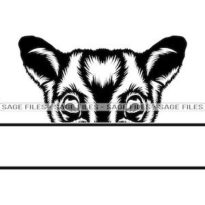Peeking Sugar Glider Svg, Sugar Glider Svg, Peeking Animals Svg, Monogram Svg, Sugar Glider Dxf, Sugar Glider Png, Clipart, Files, Eps