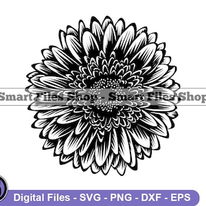 Gerbera Flower Svg, Gerbera Svg, Flower Svg, Gerbera Dxf, Gerbera Png, Gerbera Clipart, Gerbera Files, Eps