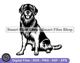Sentado Golden Retriever SVG, Golden Retriever Svg, Dog Svg, Golden Retriever Dxf, Golden Retriever Png, Clipart, Files, Eps
