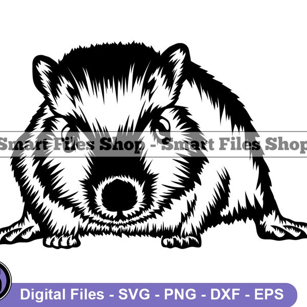 Gerbil #3 SVG, Gerbil SVG, Pet SVG, Animals Svg, Gerbil Dxf, Gerbil Png, Gerbil Clipart, Gerbil Files, Gerbil Eps