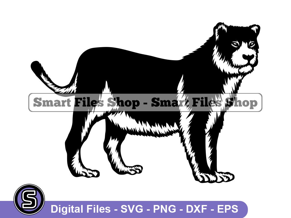 Buy Tigon SVG Animals Svg Lion & Tiger Svg Tigon Dxf Tigon Online in India - Etsy Buy Tigon SVG Animals Svg Lion & Tiger Svg Tigon Dxf Tigon Online in India - Etsy