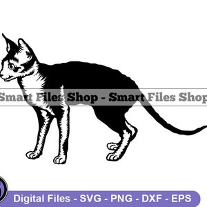 Cornish Rex Cat Svg, Cat Svg, Pet Svg, Cornish Rex Cat Dxf, Cat Png, Cat Clipart, Cat Files, Cat Eps
