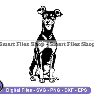 Sitting Pinscher SVG, Pinscher Svg, Dog Svg, Pinscher Dxf, Pinscher Png, Pinscher Clipart, Pinscher Files, Pinscher Eps