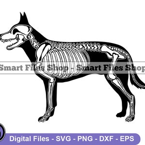 Dog Skeleton #4 Svg, Dog Svg, Kanine Svg, Dog Skeleton Dxf, Dog Skeleton Png, Dog Skeleton Clipart, Dog Skeleton Files, Dog Skeleton Eps