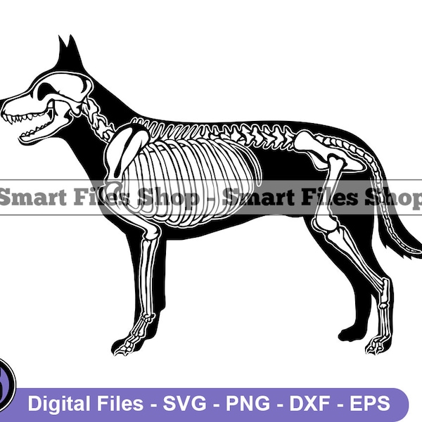 Esqueleto de perro #4 svg, perro svg, kanine svg, esqueleto de perro dxf, esqueleto de perro png, clipart de esqueleto de perro, archivos de esqueleto de perro, esqueleto de perro eps