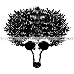 Echidna Dans Lunettes de soleil SVG, Echidna SVG, Cool Echidna Svg, Echidna Dxf, Echidna Png, Echidna Clipart, Echidna Files, Eps