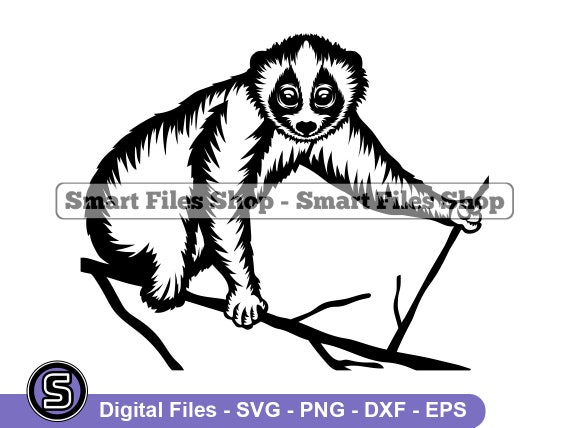 Slow Loris 3 SVG Slow Loris SVG Animals Svg Slow Loris - Etsy Slow Loris 3 SVG Slow Loris SVG Animals Svg Slow Loris - Etsy