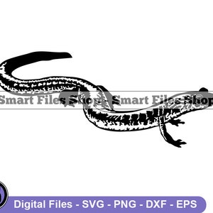 Salamander Svg, Lizard Svg, Salamander Cut Files, Salamander Files for Cricut, Salamander Clipart, Salamander Png, Salamander Dxf, Eps