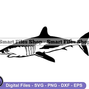 Shortfin Mako Shark #3 SVG, Shortfin Mako Shark SVG, Shark Svg, Shark Dxf, Shark Png, Shark Clipart, Shark Files, Shark Eps