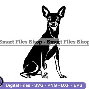 Sitting Miniature Pinscher SVG, Miniature Pinscher Svg, Dog Svg, Pinscher Dxf, Pinscher Png, Pinscher Clipart, Pinscher Files, Pinscher Eps