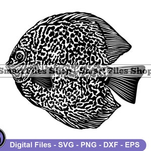 Discus Fish Svg, Aquarium Fish Svg, Fish Svg, Pet Fish Svg, Discus Fish Dxf, Discus Fish Png, Discus Fish Clipart, Discus Fish Files, Eps