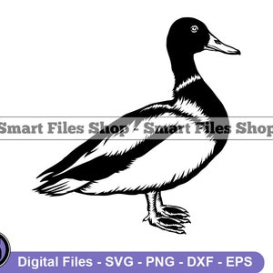 Mallard Duck SVG, Duck Svg, Duck Hunting Svg, Duck Dxf, Duck Png, Duck Clipart, Duck Files, Eps