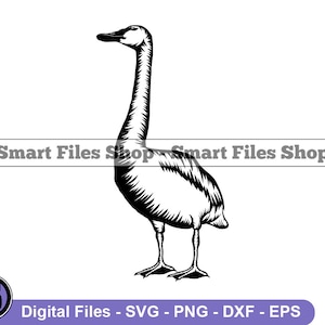 Swan SVG, Birds Svg, Swan Dxf, Swan Png, Swan Clipart, Swan Files, Swan Eps