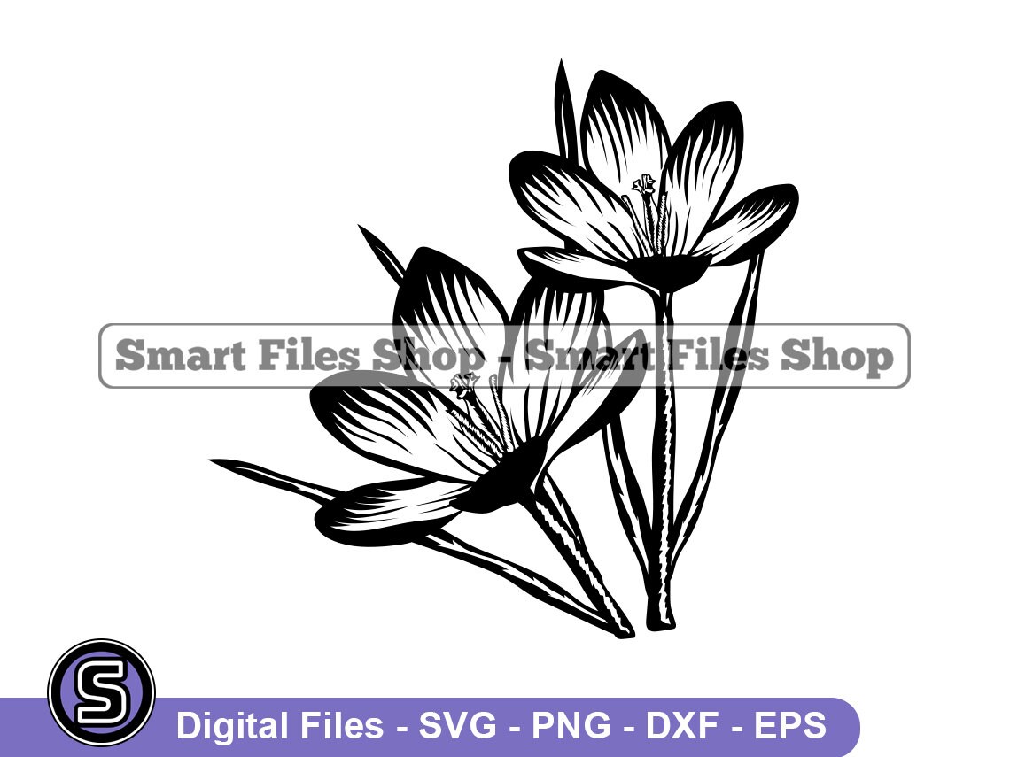 Crocus Flowers Svg Flower Svg Flower Dxf Flower Png Flower | Etsy