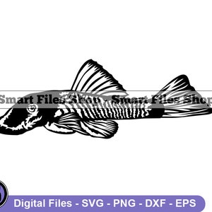 Bristlenose Pleco Svg, Aquarium Fish Svg, Fish Svg, Pet Fish Svg, Bristlenose Pleco Dxf, Bristlenose Pleco Png, Clipart, Files, Eps