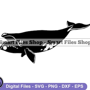 North Atlantic Right Whale Svg, Whale Svg, Sea Creatures Svg, Whale Dxf, Whale Png, Whale Clipart, Whale Files, Whale Eps