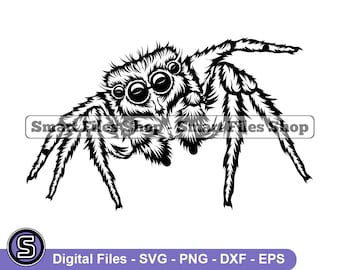 Spider SVG, Spider Design Svg, Spider Dxf, Spider Png, Spider Clipart, Spider Files, Eps