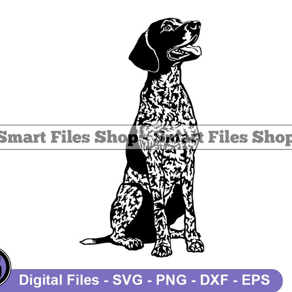 Sitzender Deutscher Kurzhaar Zeiger SVG, Deutscher Kurzhaar Pointer SVG, Hund Svg, Deutscher Kurzhaar Pointer Dxf, Png, Clipart, Dateien, Eps