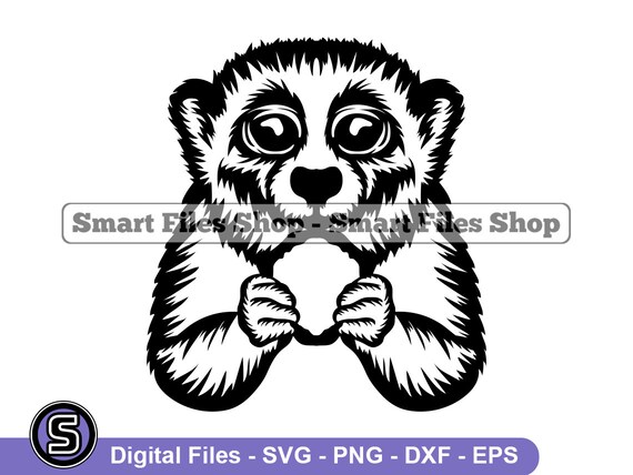 Slow Loris 2 SVG Slow Loris SVG Animals Svg Slow Loris - Etsy Ireland Slow Loris 2 SVG Slow Loris SVG Animals Svg Slow Loris - Etsy Ireland
